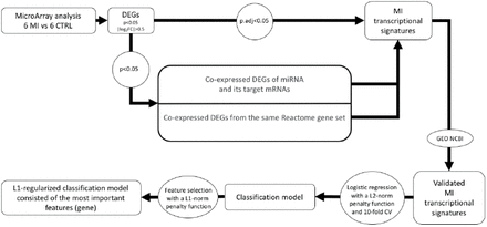 Figure 1.