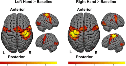 Fig 3:
