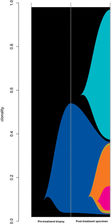 Figure 4:
