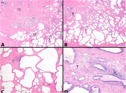 Fig 5.