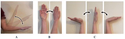 Figure 2: