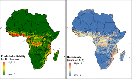 Figure 2: