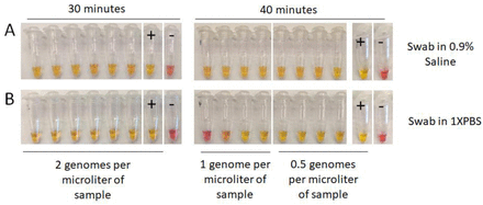 Figure 11.