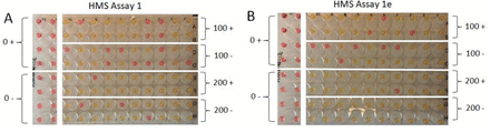 Figure 7.
