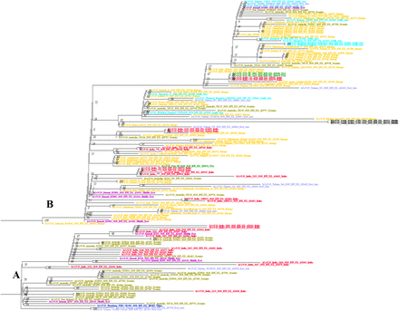 Supplementary figure 2.