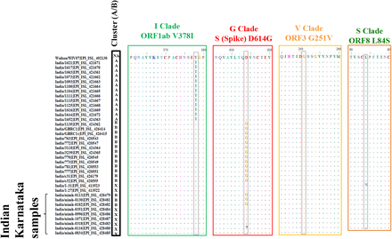 Supplementary figure 3.