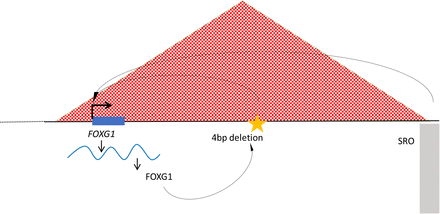 Figure 7.