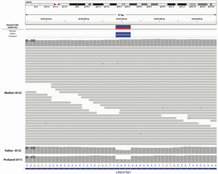 Supplementary Figure 2.