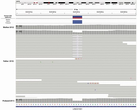 Supplementary Figure 2.