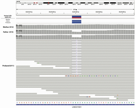 Supplementary Figure 2.