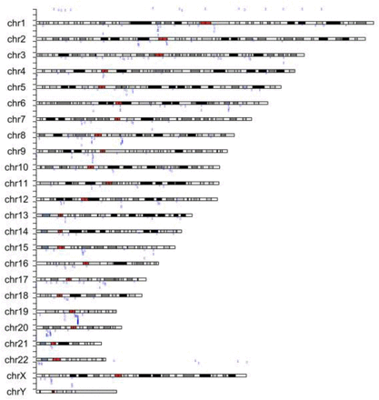 Supplementary Figure 1