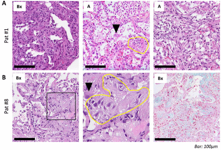 Fig. 4.