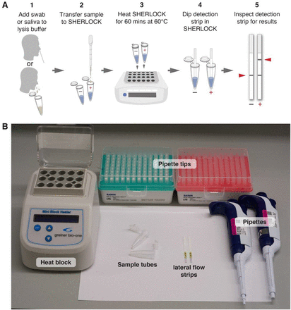 Figure 1: