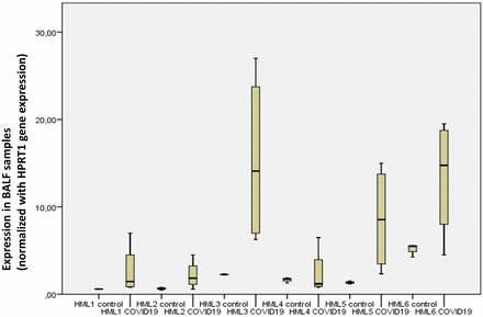 Figure 2: