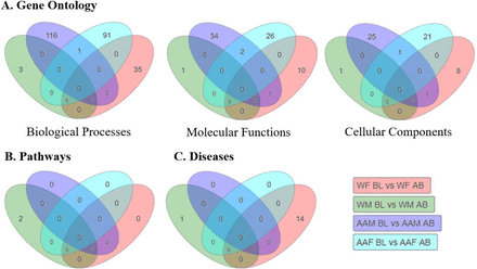 Figure 3:
