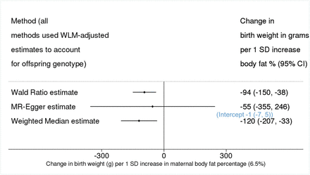 Figure 2: