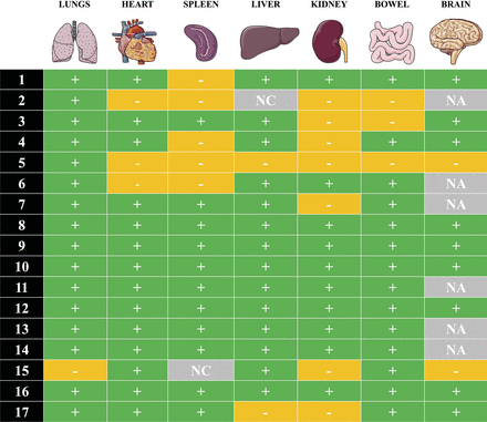 Figure 3: