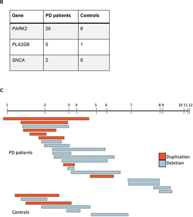 Figure 1: