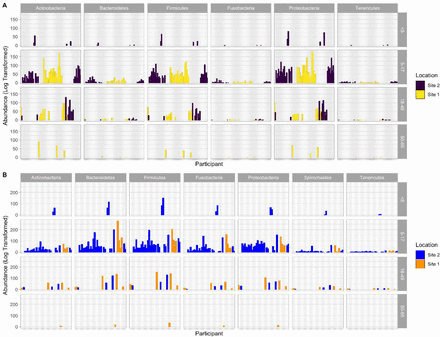 Figure 6: