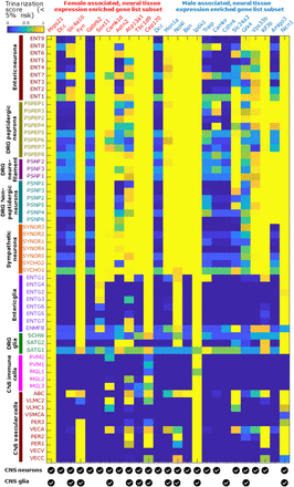 Figure 4: