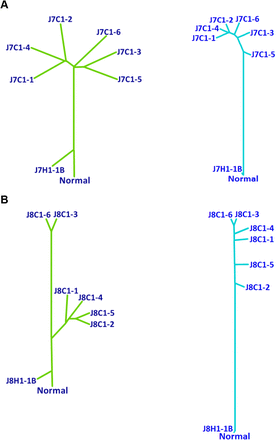 Supplementary Fig. 7.