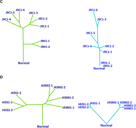 Supplementary Fig. 7.