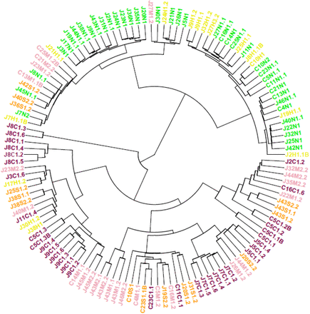 Supplementary Fig. 1.