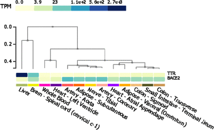 Figure 2: