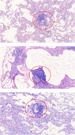 Figure S12.