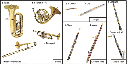 Supplementary Figure 1