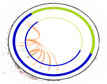 Supplementary Fig 1.