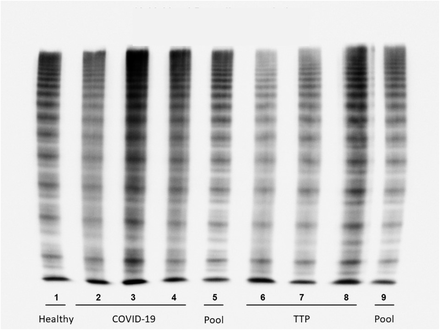 Figure 4: