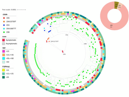 Figure 2: