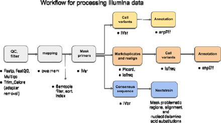 Supplementary figure S1: