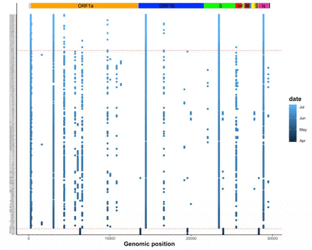Supplementary figure S3: