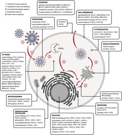 Figure 2: