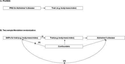 Fig 1.