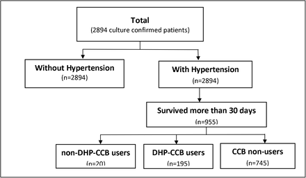 Figure 1: