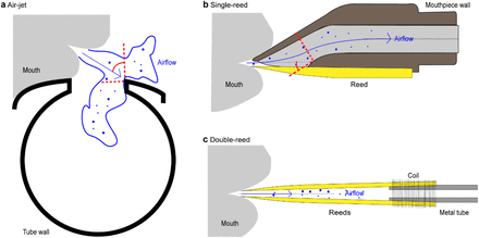 Fig. S5