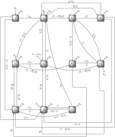 Figure 1: