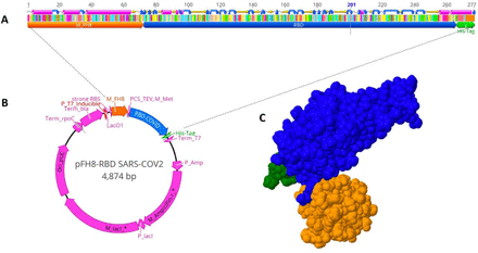 Figure 1.