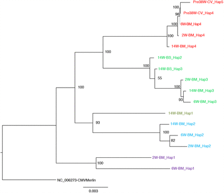 Fig. S5.