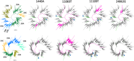 Fig 3.