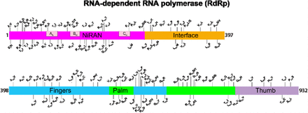 FIG 3.