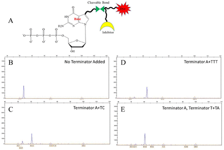 Figure 1: