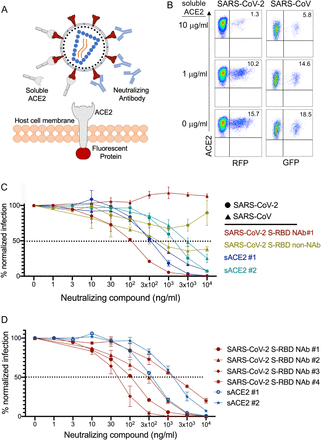 Figure 4:
