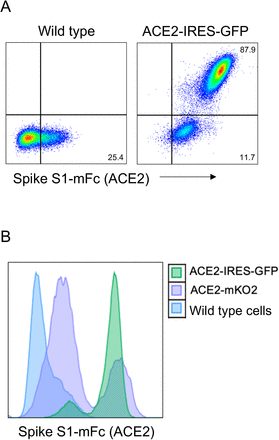Supplementary Figure 2: