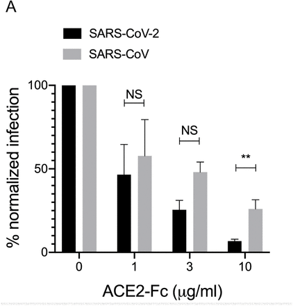 Supplementary Figure 3: