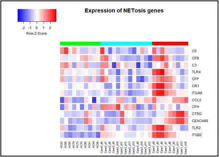 Figure 2A: