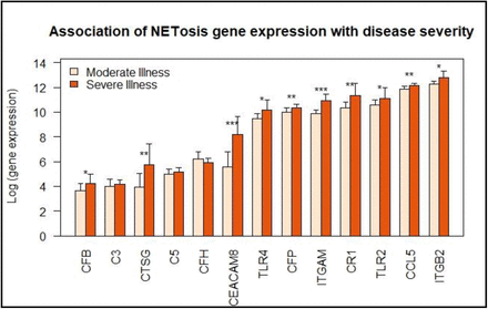 Figure 2B: